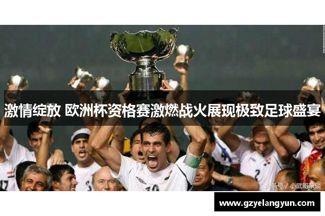 激情绽放 欧洲杯资格赛激燃战火展现极致足球盛宴
