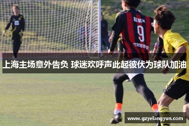上海主场意外告负 球迷欢呼声此起彼伏为球队加油