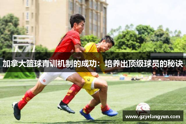 加拿大篮球青训机制的成功：培养出顶级球员的秘诀