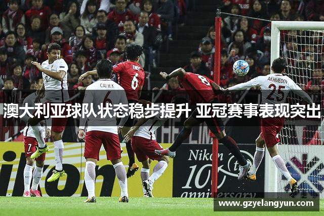 澳大利亚球队状态稳步提升 亚冠赛事表现突出