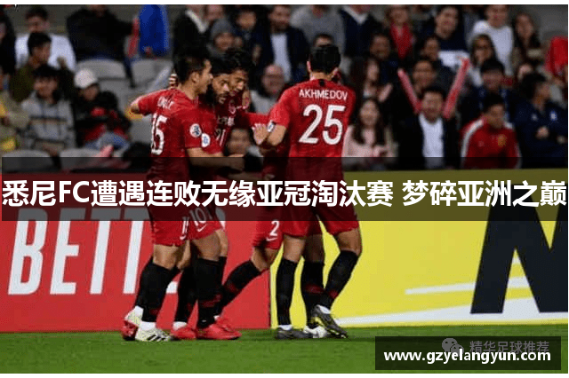 悉尼FC遭遇连败无缘亚冠淘汰赛 梦碎亚洲之巅