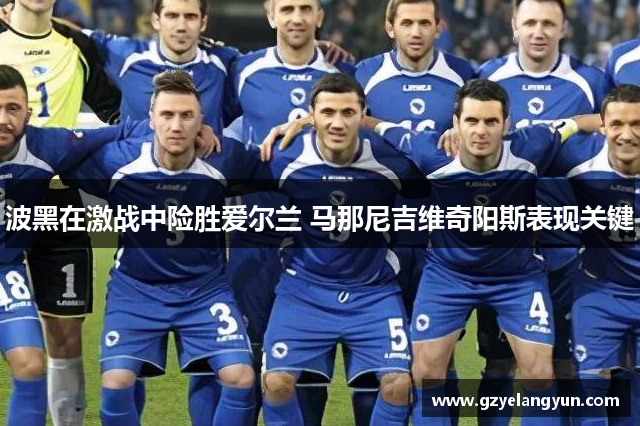 波黑在激战中险胜爱尔兰 马那尼吉维奇阳斯表现关键