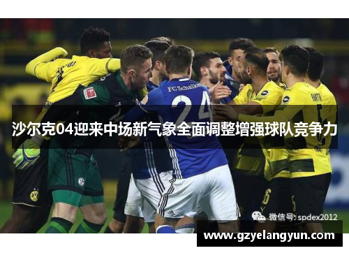 沙尔克04迎来中场新气象全面调整增强球队竞争力