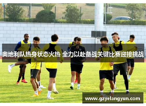 奥地利队热身状态火热 全力以赴备战关键比赛迎接挑战