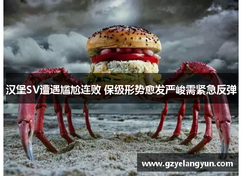 汉堡SV遭遇尴尬连败 保级形势愈发严峻需紧急反弹