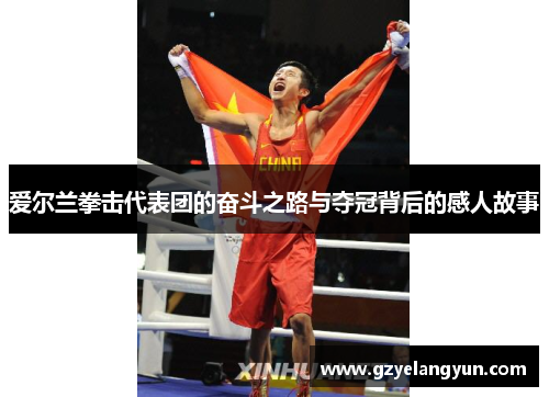 爱尔兰拳击代表团的奋斗之路与夺冠背后的感人故事