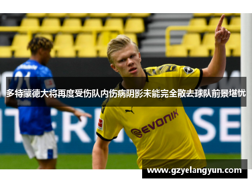 多特蒙德大将再度受伤队内伤病阴影未能完全散去球队前景堪忧