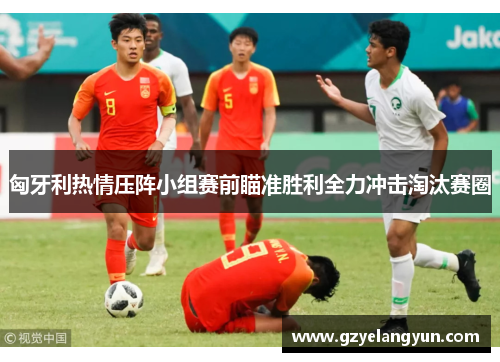 匈牙利热情压阵小组赛前瞄准胜利全力冲击淘汰赛圈