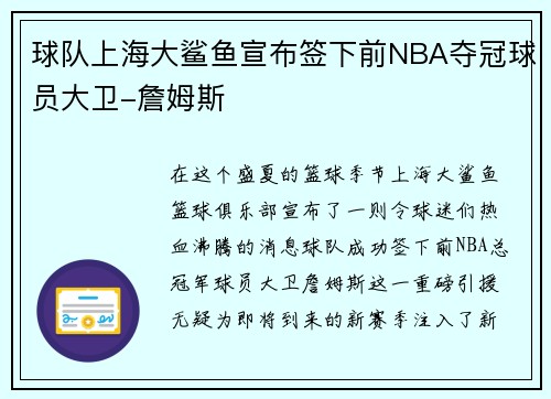 球队上海大鲨鱼宣布签下前NBA夺冠球员大卫-詹姆斯