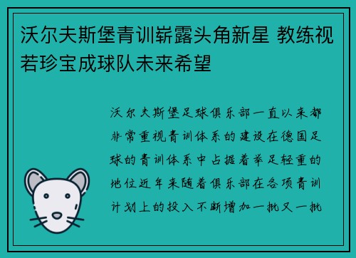 沃尔夫斯堡青训崭露头角新星 教练视若珍宝成球队未来希望